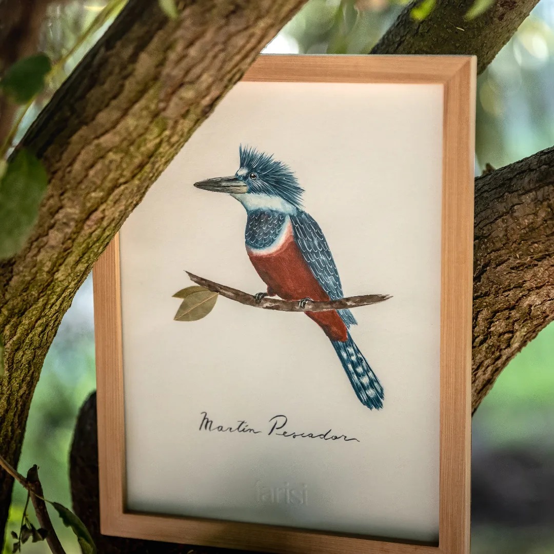 Cuadro con ilustración de martín pescador posado en una rama con una hoja de laurel
