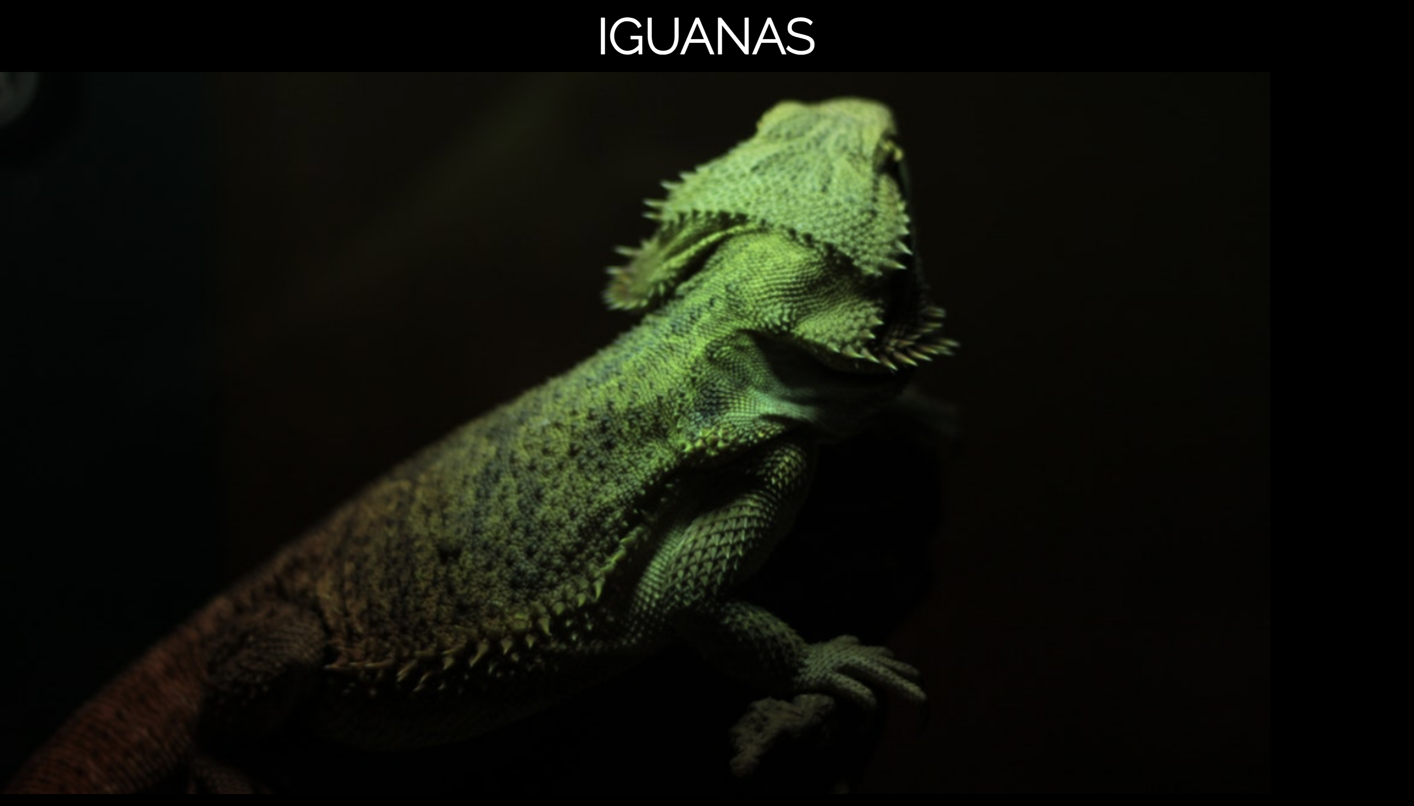 Screenshot del Proyecto 3